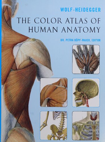 The color atlas of human anatomy