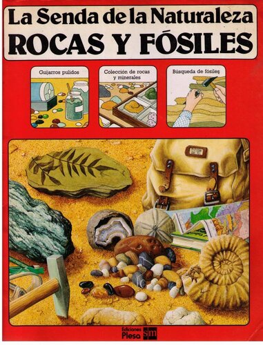 Rocas y fósiles