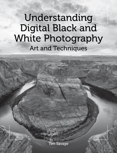 Understanding Digital Black and White Photography : Art and Techniques.