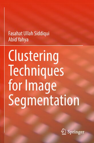 Clustering Techniques for Image Segmentation