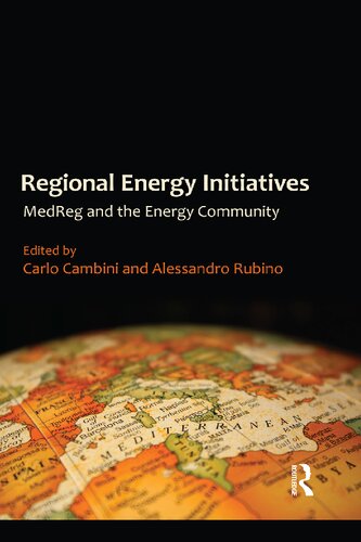 Regional Energy Initiatives: MedReg and the Energy Community