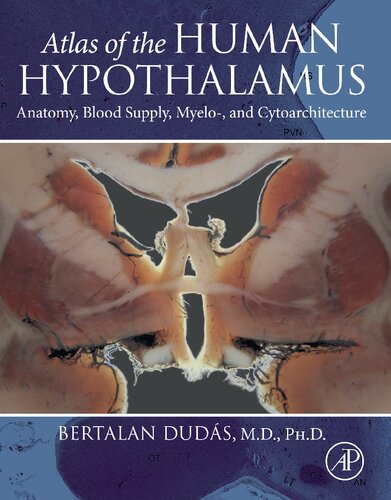 Atlas of the Human Hypothalamus: Anatomy, Blood Supply, Myelo-, and Cytoarchitecture