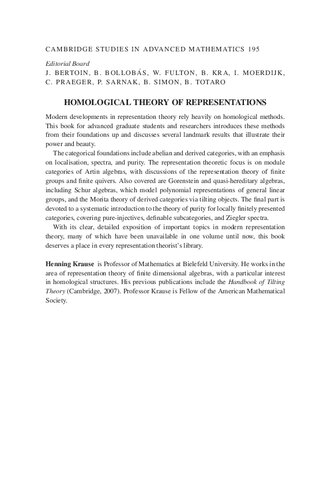 Homological Theory of Representations