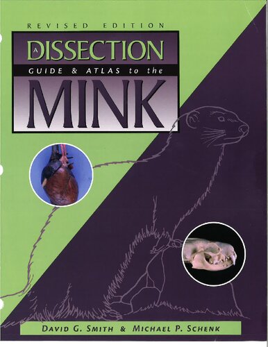 A dissection guide and atlas to the mink /