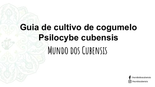 Guia de Cultivo de Cogumelo Mágico Psilocybe Cubensis