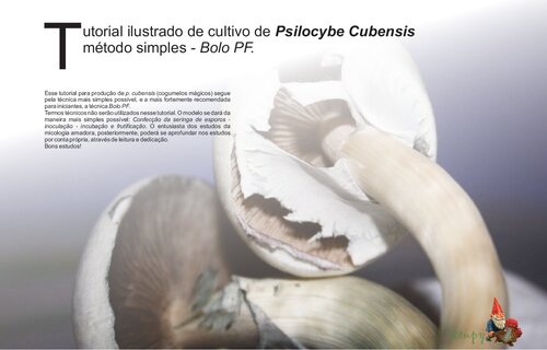 Tutorial ilustrado de cultivo de Psilocybe Cubensis - método simples - bolo PF