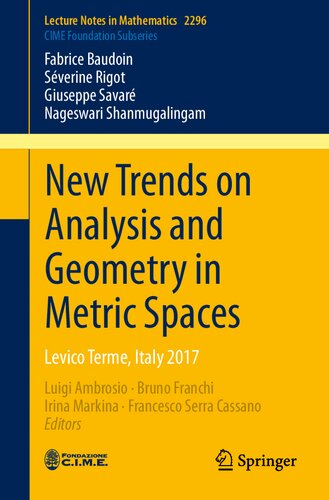 New Trends on Analysis and Geometry in Metric Spaces: Levico Terme, Italy 2017