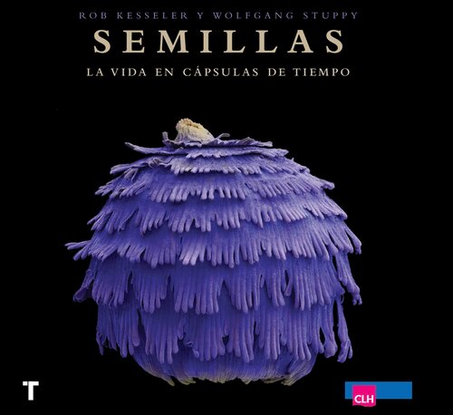 Semillas: La vida en cápsulas de tiempo (Arte y Fotografía) (Spanish Edition)