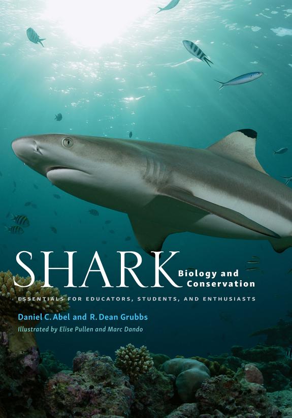 Shark Biology and Conservation: Essentials for Educators, Students, and Enthusiasts