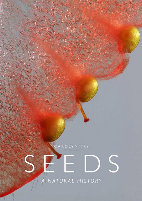 Seeds: A Natural History