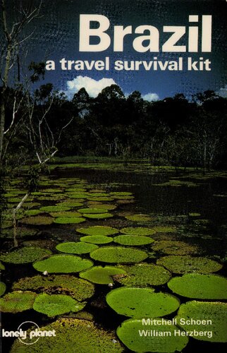 Brazil: A Travel Survival Kit