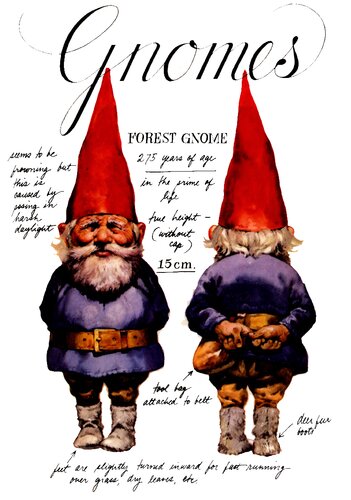 Gnomes