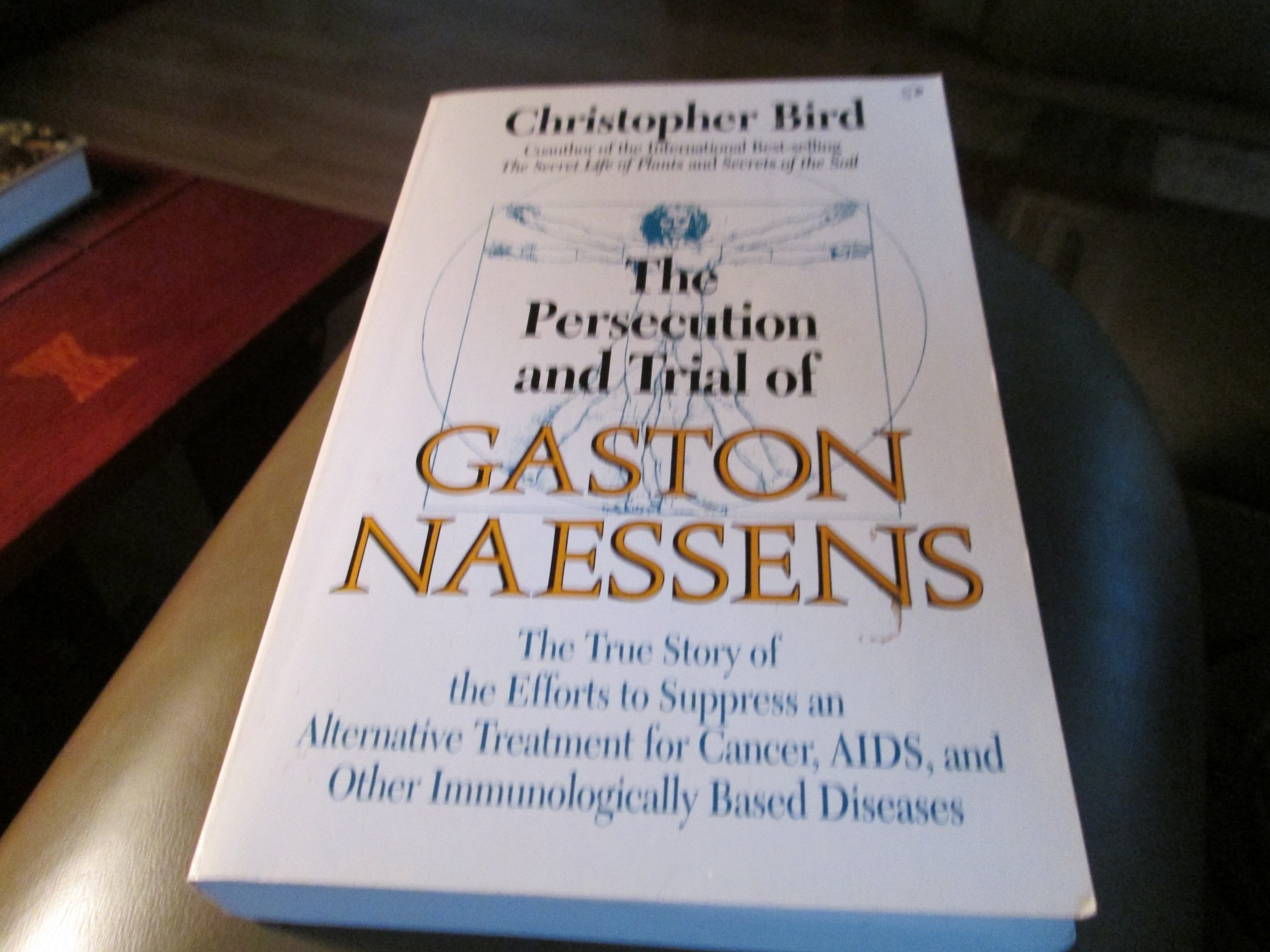 The Persecution and Trial of Gaston Naessens: The True Story of the Efforts to Suppress an Alternative Treatment for Cancer, AIDS, and Other Immunologically Based Diseases - 714X 714 X Cancer Treatment