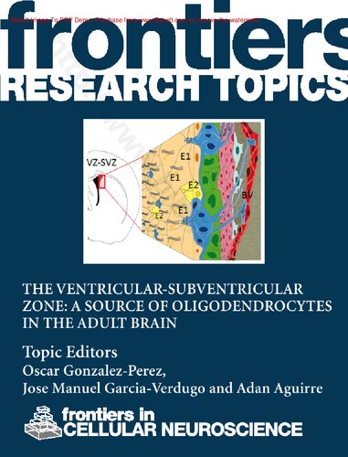 The ventricular-subventricular zone: a source of oligodendrocytes in the adult brain