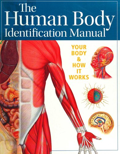 Human Body Identification Manual: Your Body and How It Works