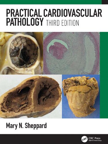 Practical cardiovascular pathology