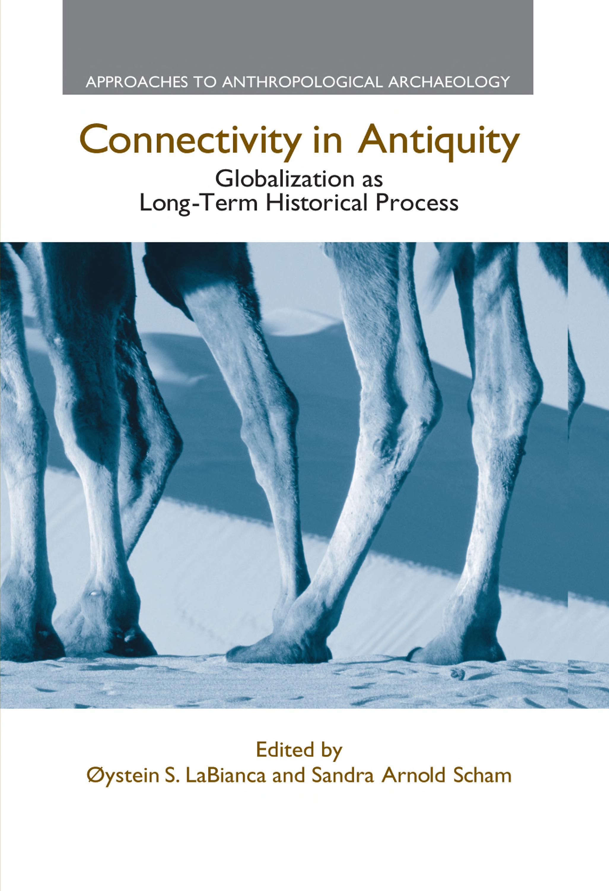 Connectivity in Antiquity: Globalization as a Long-Term Historical Process