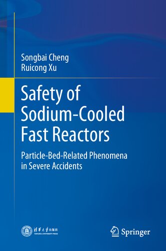 Safety of Sodium-Cooled Fast Reactors