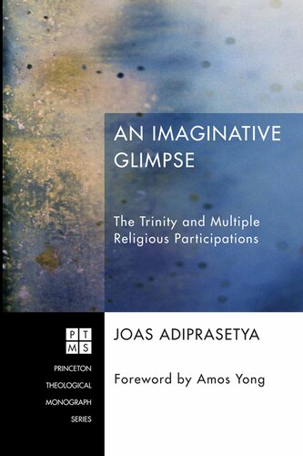 An Imaginative Glimpse: The Trinity and Multiple Religious Participations (Princeton Theological Monograph)