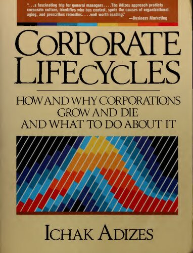 Corporate Lifecycles