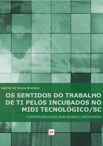 Os sentidos do trabalho de TI pelos incubados no MIDI tecnológico: a empregabilidade num mundo conexionista