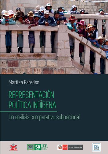 Representación política indígena. Un análisis comparativo subnacional