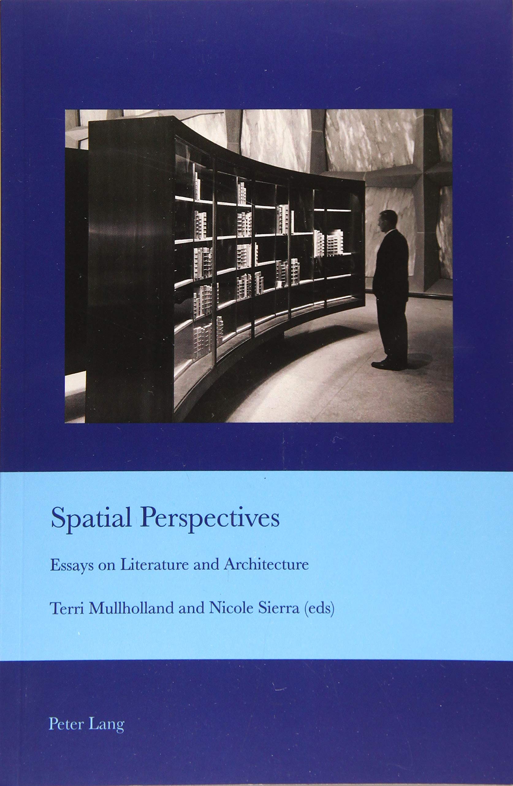 Spatial Perspectives: Essays on Literature and Architecture (Cultural Interactions: Studies in the Relationship between the Arts)