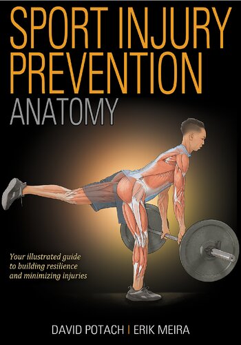 Sport Injury Prevention Anatomy