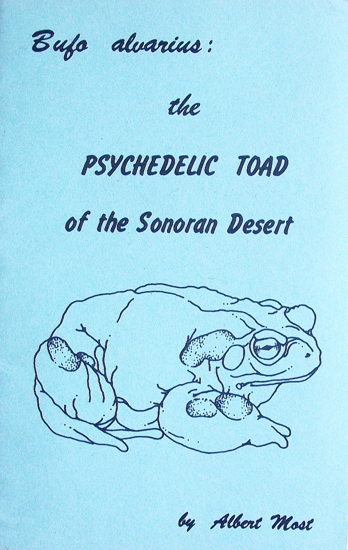 Bufo Alvarius: The Psychedelic Toad of the Sonoran Desert