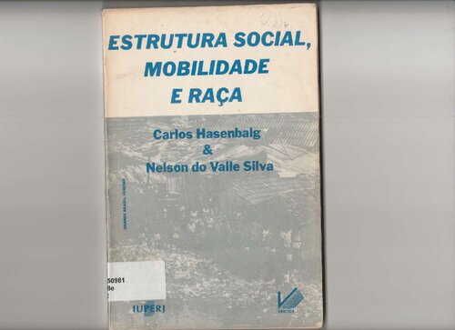 Estrutura social, mobilidade e raça