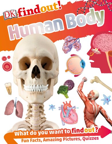 Human Body