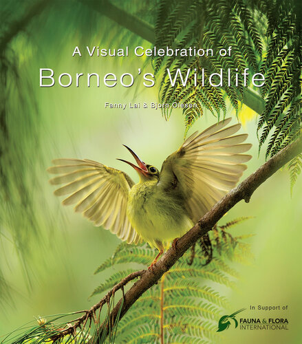 A Visual Celebration of Borneo's Wildlife