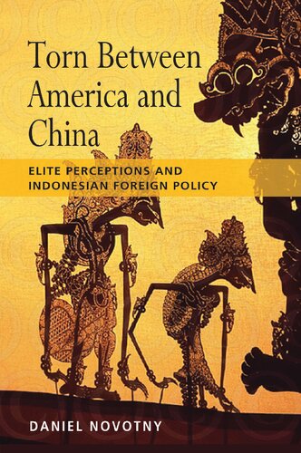 Torn between America and China Elite Perceptions and Indonesian Foreign Policy