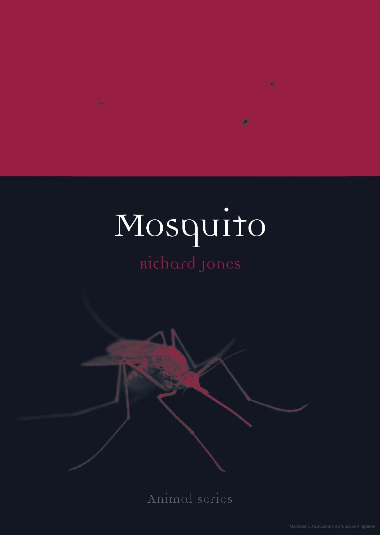 Mosquito