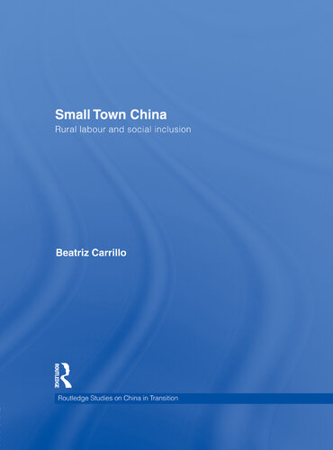 Small Town China: Rural Labour and Social Inclusion