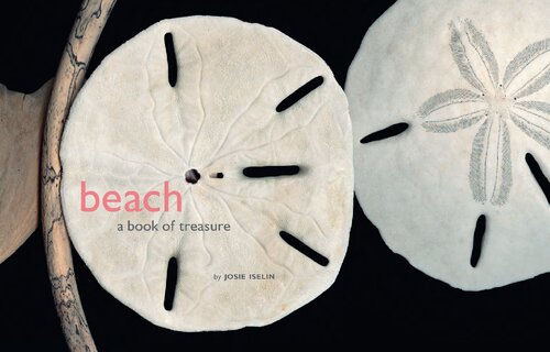 Beach: A Book of Treasures