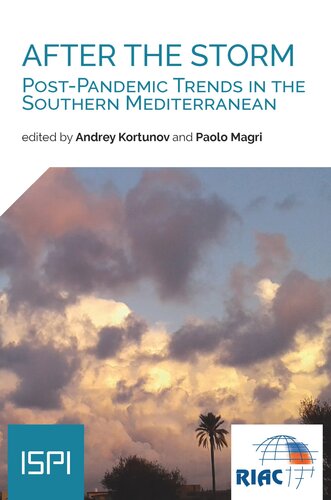 After the Storm: Post-Pandemic Trends in the Southern Mediterranean