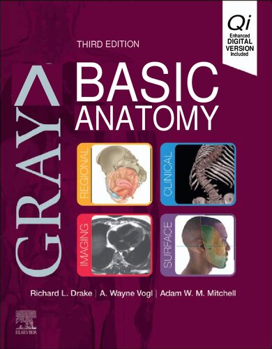 Gray's Basic Anatomy Richard Drake PhD, A. Wayne Vogl PhD, Adam W. M. Mitchell MB BS FRCS FRCR