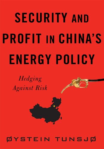 Security and Profit in China's Energy Policy: Hedging Against Risk