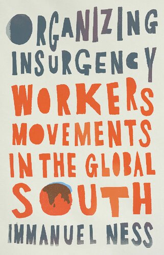 Organizing Insurgency : Workers' Movements in the Global South