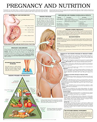 Pregnancy and nutrition e chart: Full illustrated