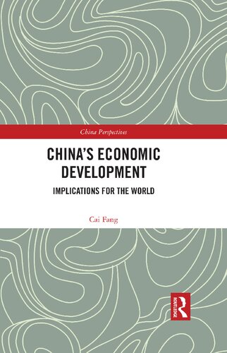 China's Economic Development Implications for the World