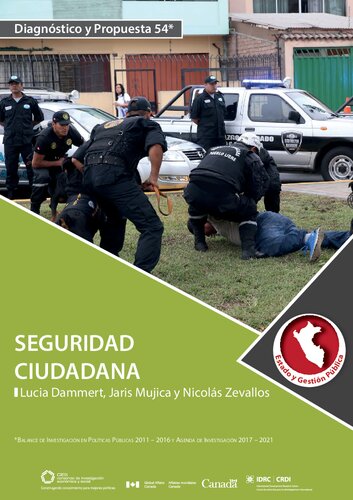 Seguridad ciudadana (Perú)