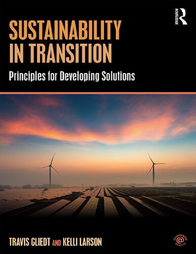 Sustainability in transition : principles for developing solutions