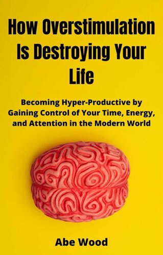 How Overstimulation Is Destroying Your Life: Becoming Hyper-Productive by Gaining Control of Your Time, Energy, and Attention in the Modern World