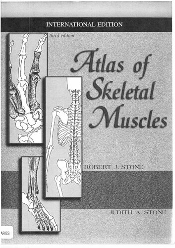 Atlas Skeletal Muscles