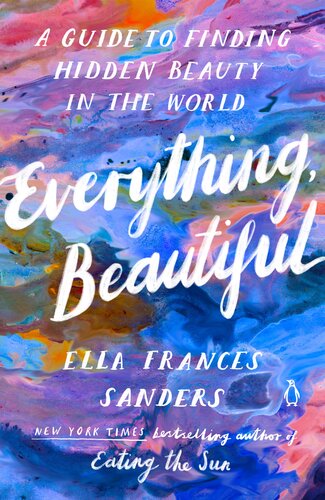 Everything, Beautiful : A Guide to Finding Hidden Beauty in the World