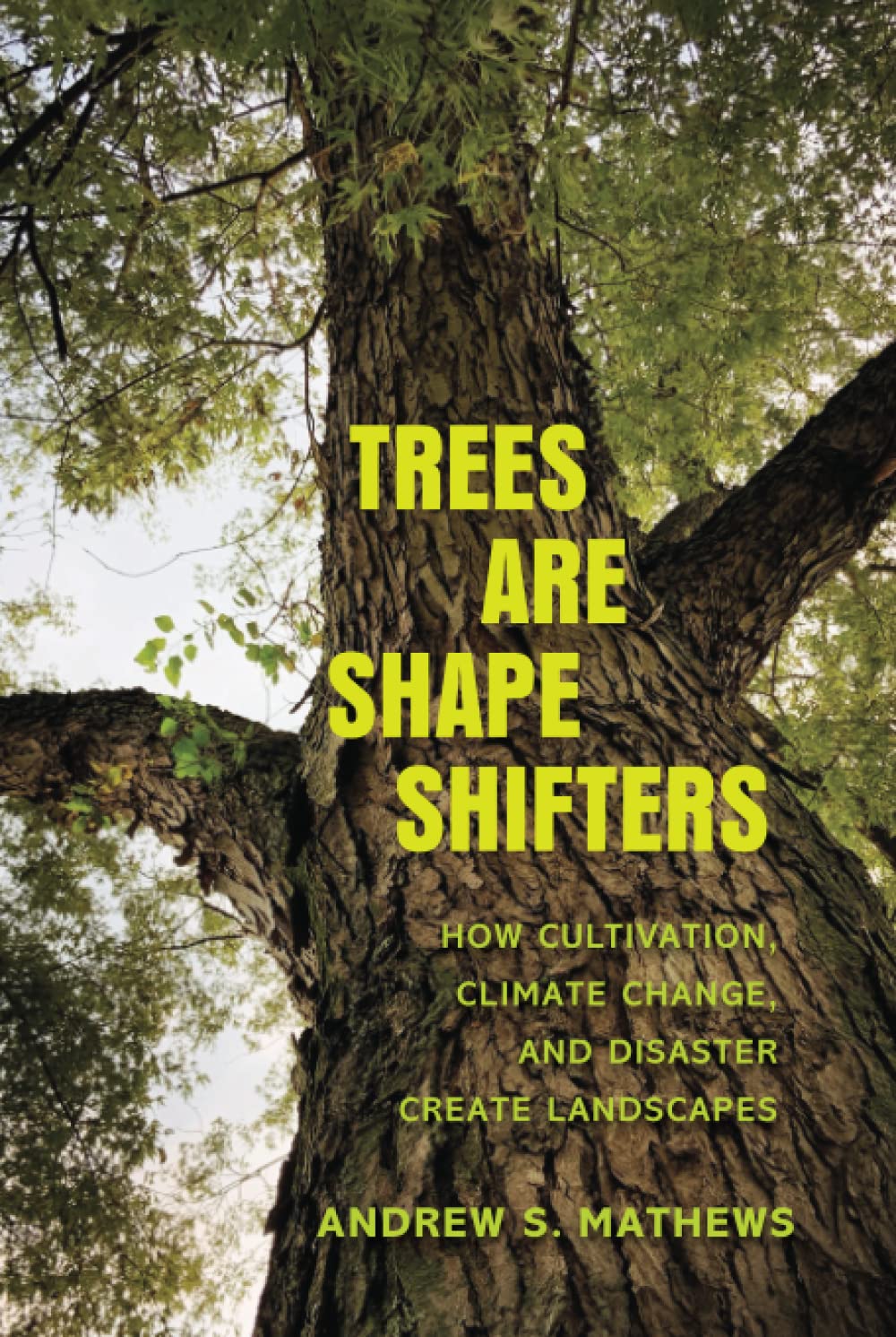 Trees Are Shape Shifters: How Cultivation, Climate Change, and Disaster Create Landscapes