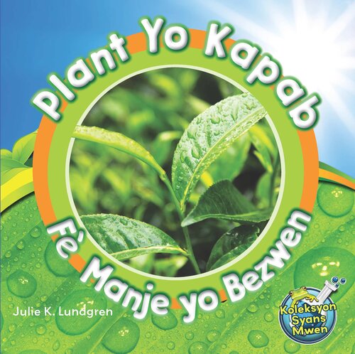 Plant Yo Kapab Fè Manje Yo Bezwen