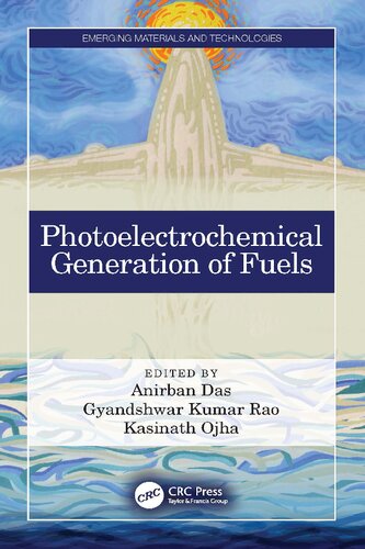 Photoelectrochemical Generation of Fuels